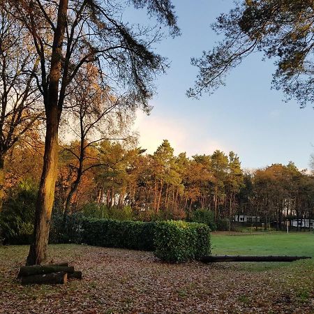 فيلا بارلي ناسوفي Chalet Forest المظهر الخارجي الصورة