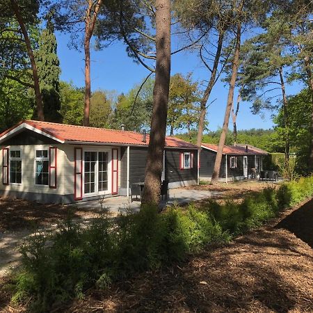 فيلا بارلي ناسوفي Chalet Forest المظهر الخارجي الصورة