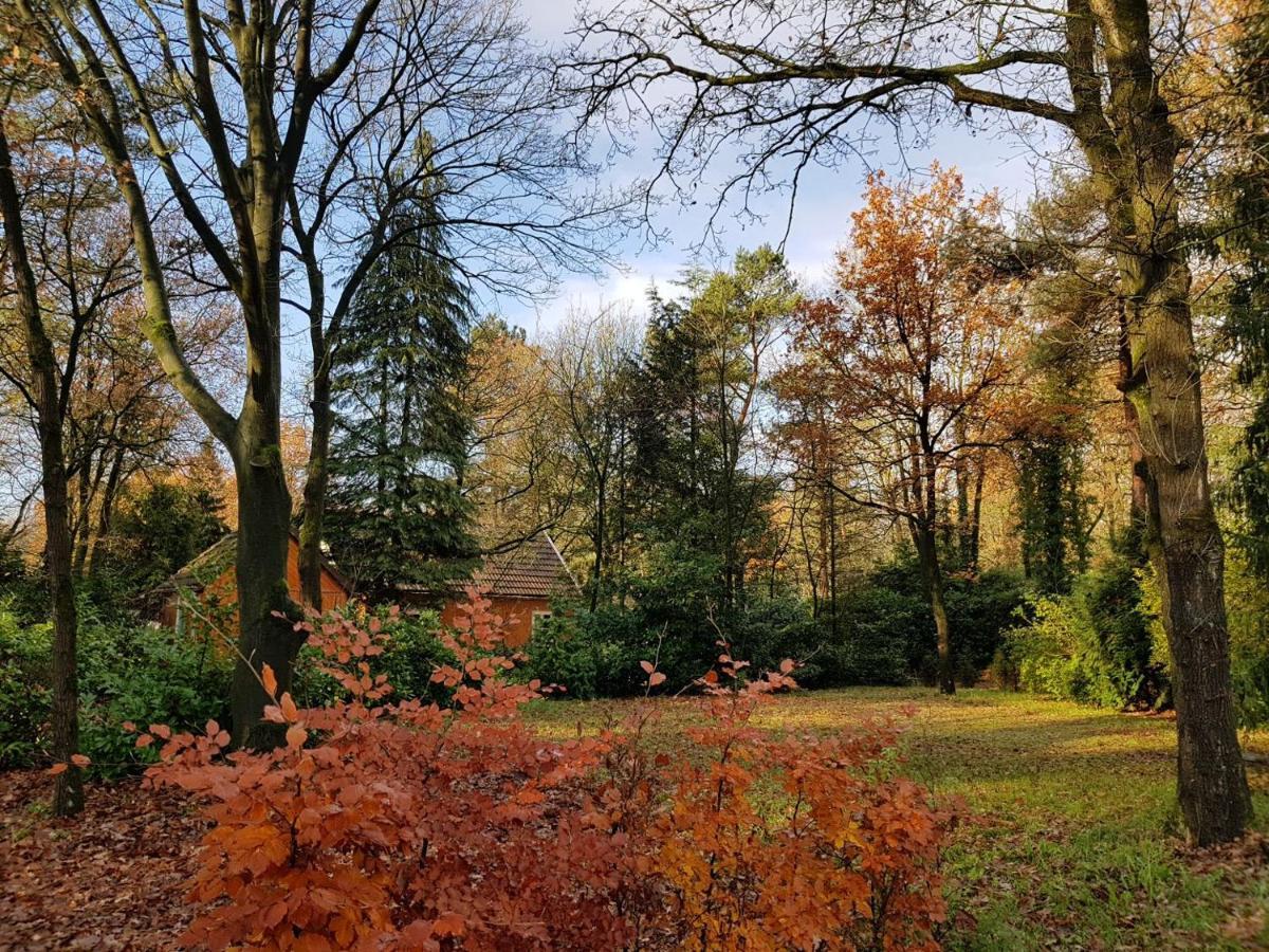 فيلا بارلي ناسوفي Chalet Forest المظهر الخارجي الصورة